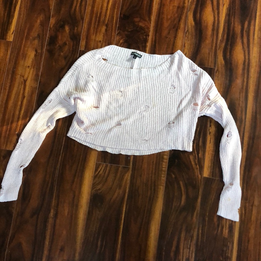 Express (XS) cropped sweater